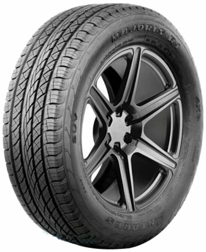 Antares tires Majoris R1 295/30 ZR22 103W