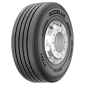 картинка RTR61 от Свежаяшина.рф