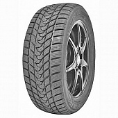 картинка Delinte Winter WD1 235/50 R19 99H от Свежаяшина.рф