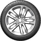 картинка ROADX RXMOTION 4S 155/80 R13 79T от Свежаяшина.рф