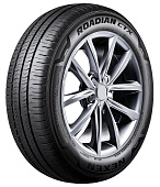 ROADIAN CTX