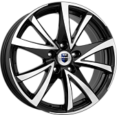 картинка Игуана (BFP) от Свежаяшина.рф