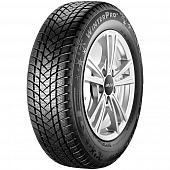 картинка GT Radial WinterPro 2 205/55 R17 95H от Свежаяшина.рф